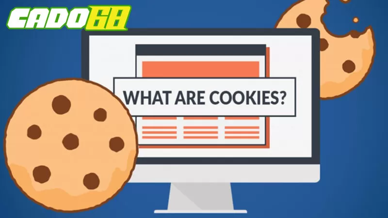 Không lưu trữ cookies của khách hàng