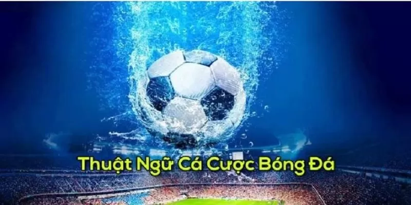 Các thuật ngữ cá độ bóng đá trong kèo tài xỉu