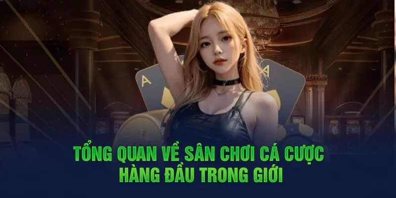 Giới thiệu về nhà cái XO88