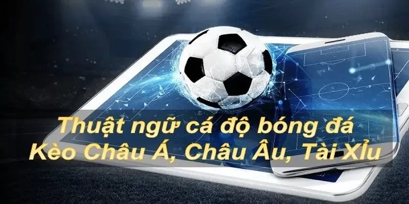 Thuật ngữ cá độ bóng đá ngày càng đa dạng trên thị trường