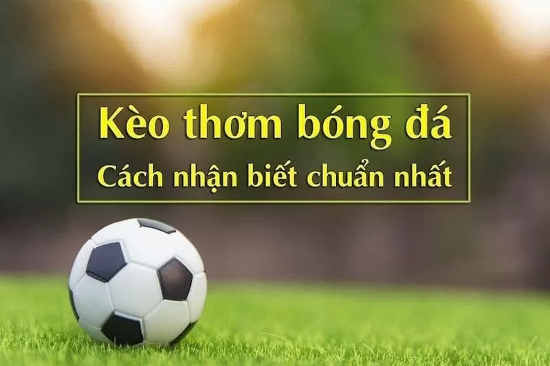 Những điều người chơi cần nắm khi chọn kèo ngon ăn